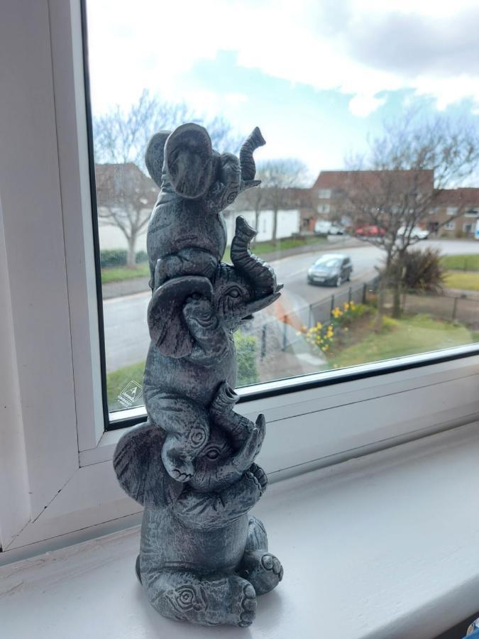 Teddy Bears' 3-Bedroom Maisonette Saltcoats Eksteriør bilde